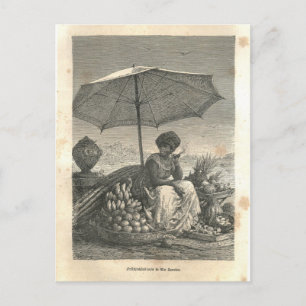 Postal 1877 Imprimir Río de Janeiro, la Tierra y sus pueb