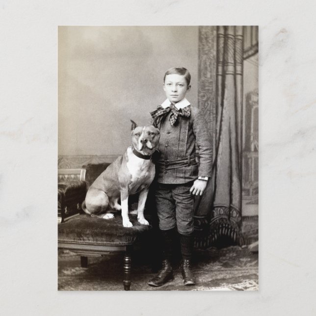 Postal 1890 Boy y su norteamericano Staffordshire Terrier (Anverso)