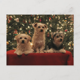 Postal 1 del navidad del perrito