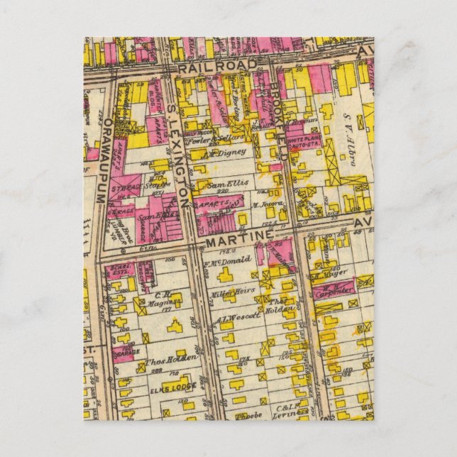 Postal 1 Plantas Blancas (Anverso)