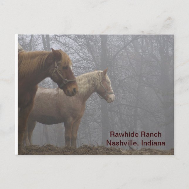 Postal 20071221_0021_r1, Rawhide RanchNashville, Indiana (Anverso)