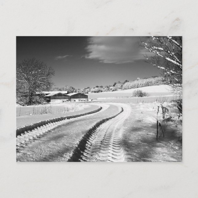 Postal 2010-01-07_12.25.10 - Granja nevada en Fox Hill La (Anverso)