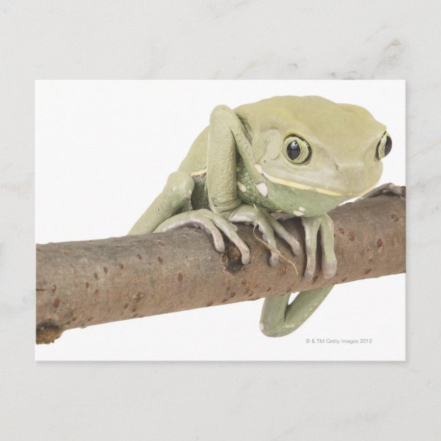 POSTAL 23568119 (Anverso)