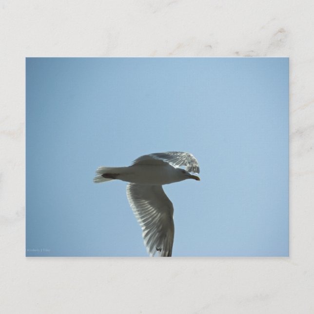 POSTAL 2367 (Anverso)