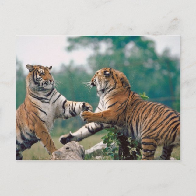 POSTAL 23899157 (Anverso)