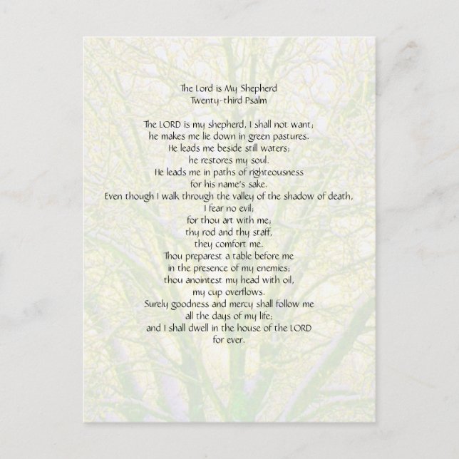 Postal 23.ª Salmo... (Anverso)