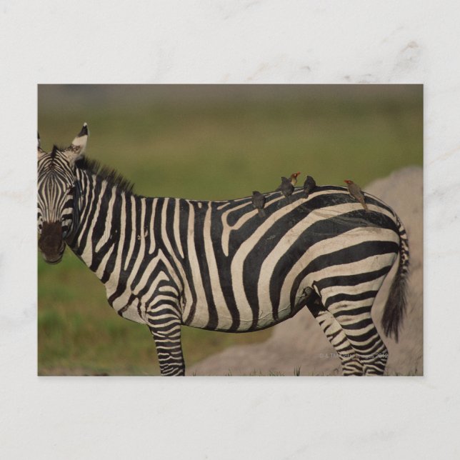 POSTAL 24109277 (Anverso)