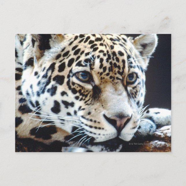 POSTAL 24114363 (Anverso)