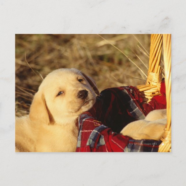 POSTAL 24117967 (Anverso)