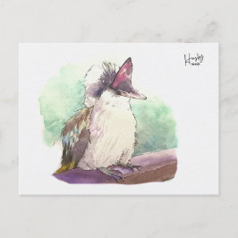 Postal 24 : Kookaburra