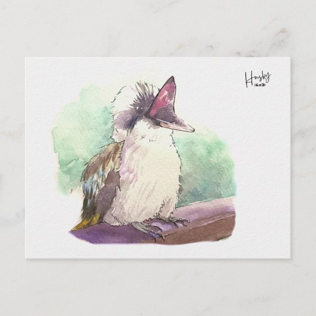 Postal 24 : Kookaburra (Anverso)