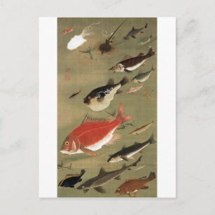 Postal 28. 群 魚 図, 若 冲 varios pescados, Jakuchū, Japón Art