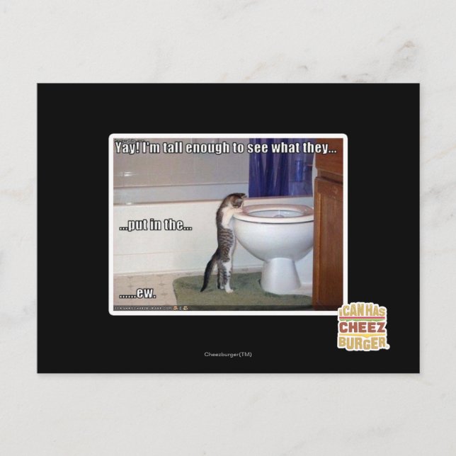 POSTAL 2.ª (Anverso)