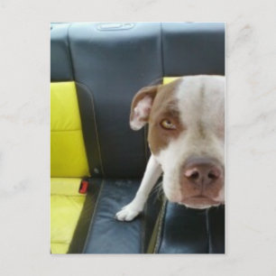 Postal 2.º bocanada