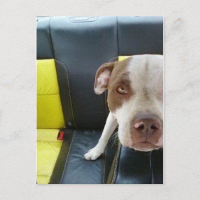 Postal 2.º bocanada (Anverso)