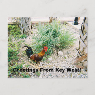 Postal 2-12-2007 (2)-07, ¡Saludos desde el oeste clave!