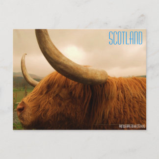Postal 2 216, SCOTLAND, Fotografía de Kirsten ...