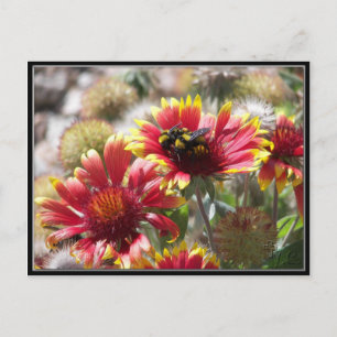 Postal 2 Abejas En La Flor En El Anverso.