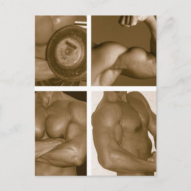 Postal 300 Flex: www.AriesArtist.com (Anverso)