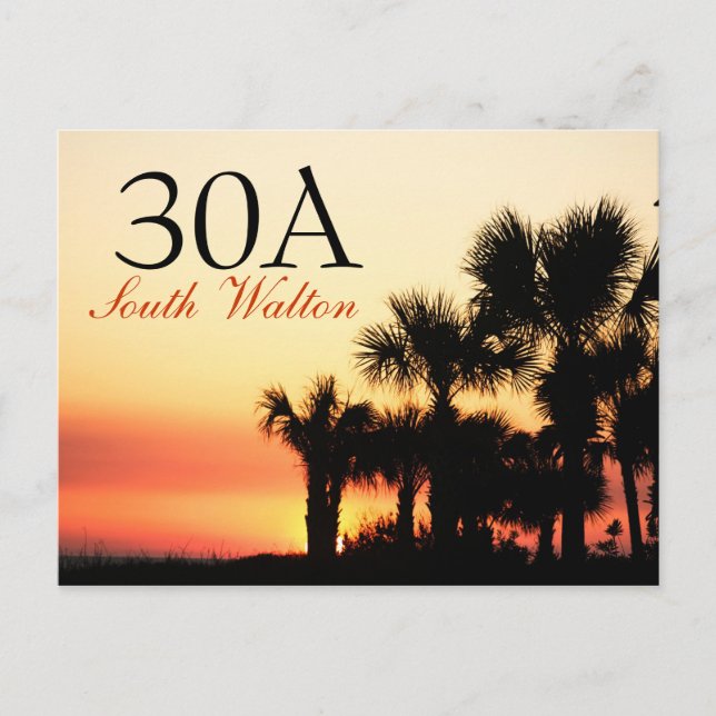 Postal 30A - Sunset de Walton Palm Tree (Anverso)
