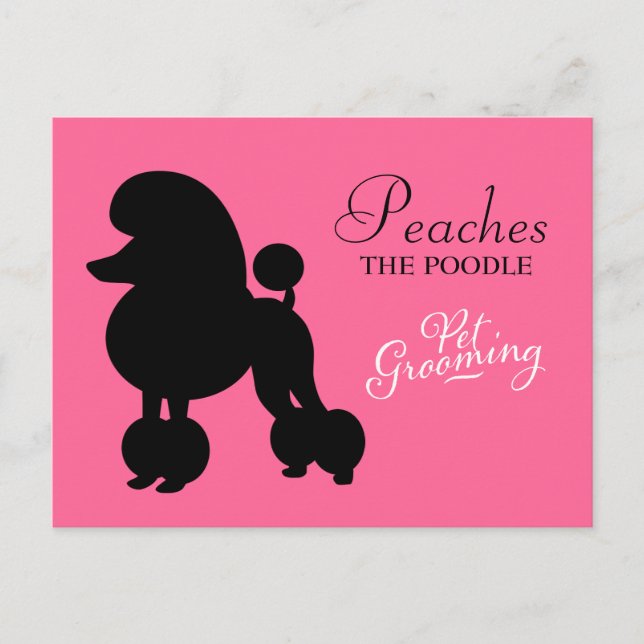 Postal 311 Peaches the Poodle Mascota Grooming (Anverso)