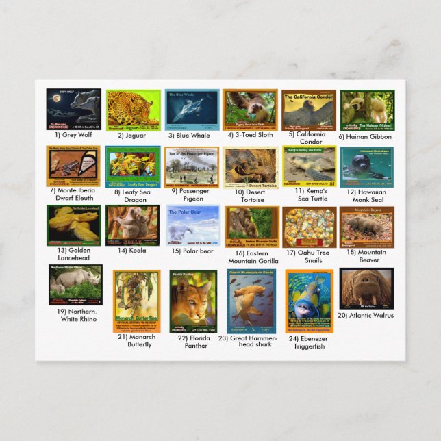 Postal 31 de marzo de 2018, página índice, 24 pack (Anverso)