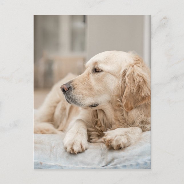 Postal 34137641_xxl (Anverso)