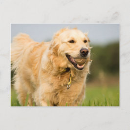 Postal 34520685_xxl
