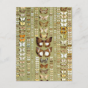 Postal 374 meses de Nueva Guinea