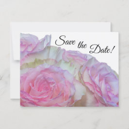 Postal 3998-Rosas blancas y rosadas