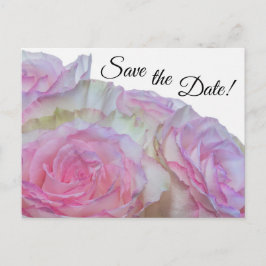 Postal 3998-Rosas blancas y rosadas