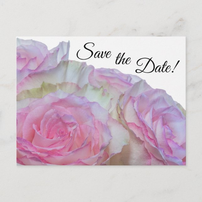 Postal 3998-Rosas blancas y rosadas (Anverso)