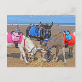 Postal 3 burros