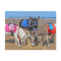 3 burros