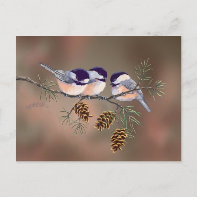 POSTAL 3 CHICKADEES Y CONOS DE PINOS DE SHARON SHARPE (Anverso)
