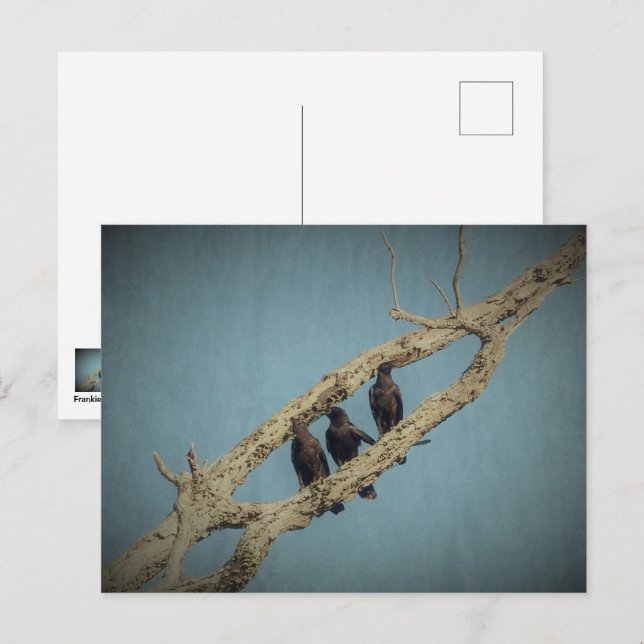 Postal 3 cuerdas (Anverso / Reverso)