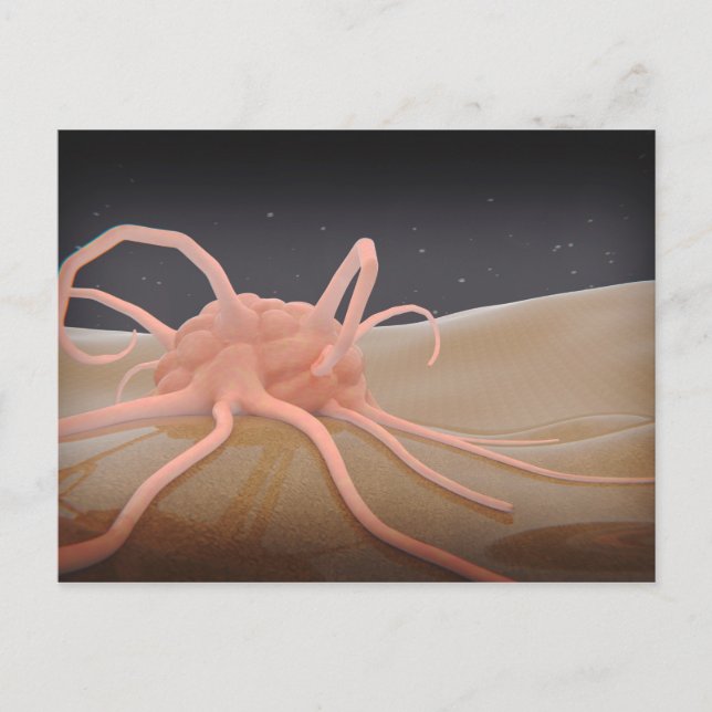 Postal 3 D Renderización De La Fhagocitosis Macrofóbica (Anverso)