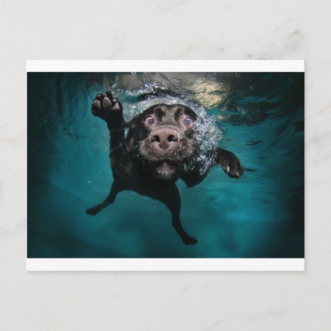 Postal 3.jpeg (Anverso)