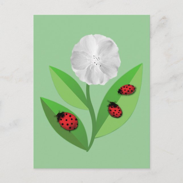 Postal 3 Ladybugs (Anverso)