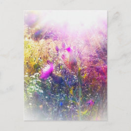 POSTAL 3.THISTLES POSTCARD