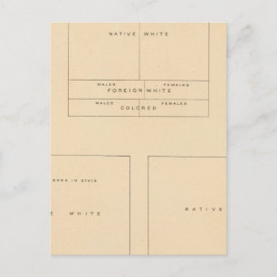 Postal 41 Elementos de la población 1900