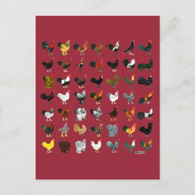 Postal 49 Galerías (Anverso)