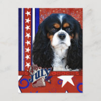 4 de julio - Cavalier - Tri-color