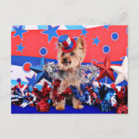 4 de julio - Yorkie - Vinnie