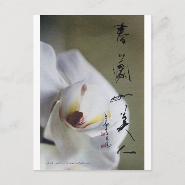 postal 4 de meitokai (Anverso)