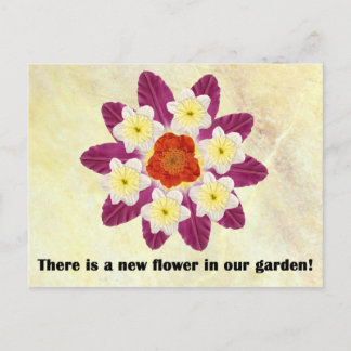 Postal 4 Hay una flor nueva en nuestro jardín