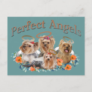 Postal 4 regalos de Yorkie Perfect Angels