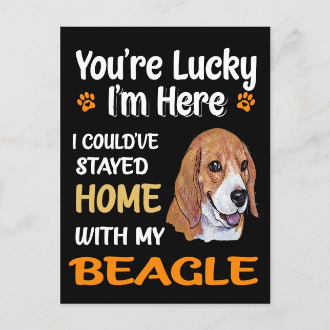Postal 4 Tienes Suerte En Casa Con Mi Beagle (Anverso)