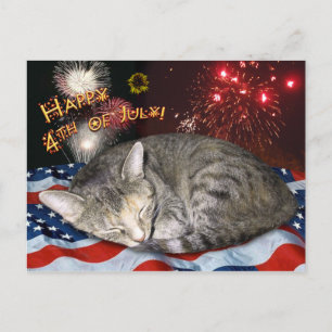 Postal 4th of July Cat and Fireworks