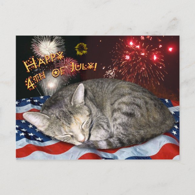 Postal 4th of July Cat and Fireworks (Anverso)